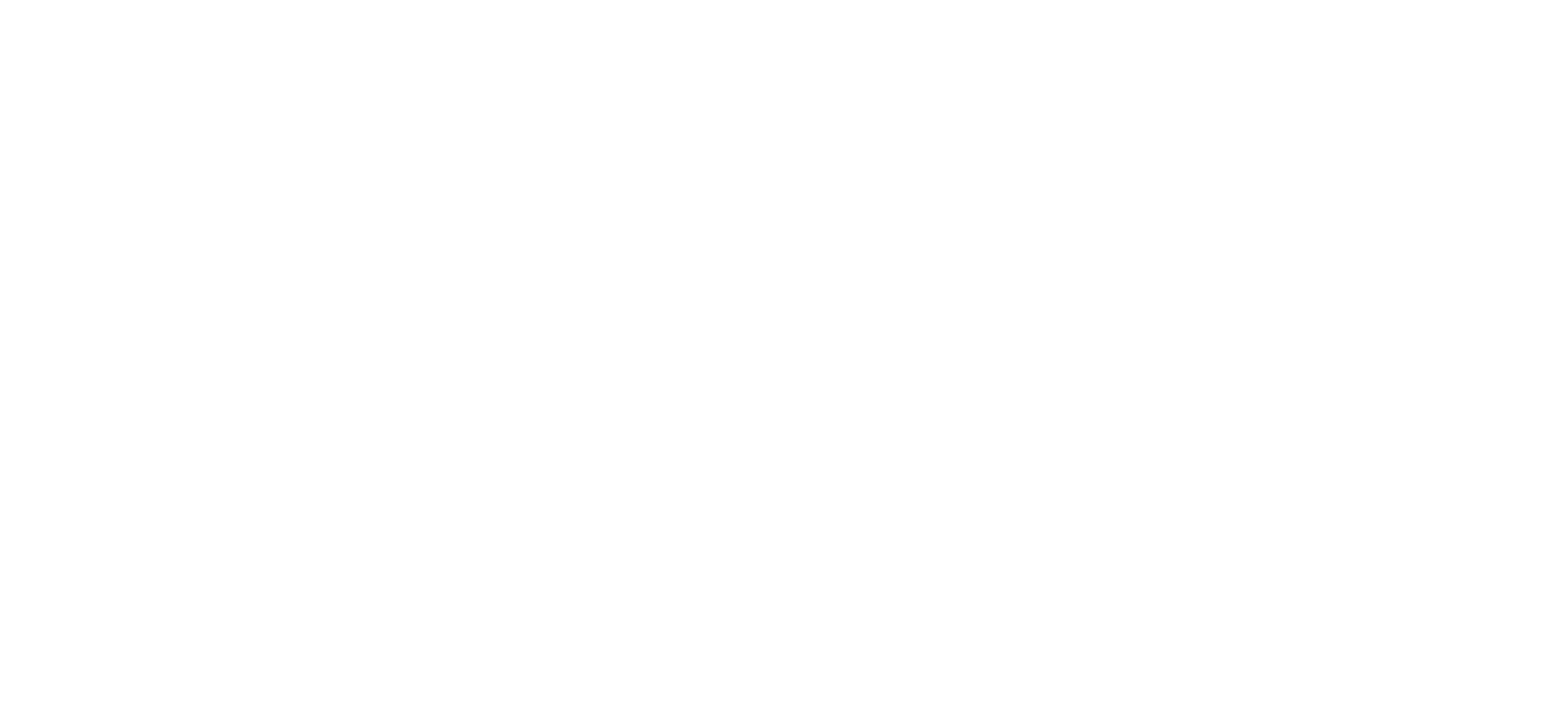 Lanzini eco